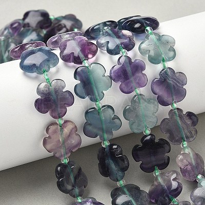 Natural Flower Rainbow Fluorite Beads Strands G-L241B-09-01-1