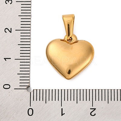304 Stainless Steel Pendants STAS-P278-01I-G-1-1