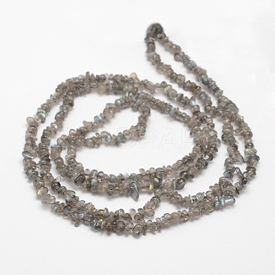 Chips Natural Black Larvikite Beads Strands G-N0164-61-1