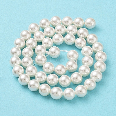 Shell Pearl Bead Strands X-BSHE-L026-03-8mm-1