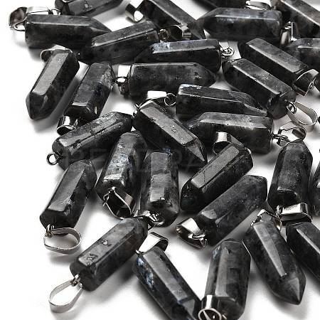 Natural Labradorite Pendants G-Z067-07P-24-1