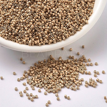 MIYUKI Delica Beads X-SEED-J020-DB1152-1