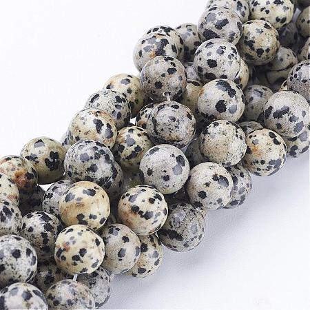 Natural Dalmatian Jasper Beads Strands GSR12mmC004-1