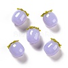 Autumn Theme Handmade Lampwork Beads LAMP-A150-10F-2