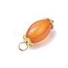 6Pcs Natural Agate(Dyed & Heated) Pendants PALLOY-JF04532-02-5