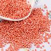 Baking Paint Glass Seed Beads X-SEED-S042-15B-29-1