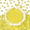 FGB Transparent Glass Seed Beads SEED-N013-01C-03-3