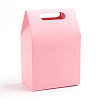 Rectangle Paper Bags with Handle and Clear Heart Shape Display Window CON-D006-01D-04-2