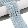 Natural Aquamarine Beads Strands G-P342-10-6mm-A-01-5