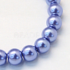Baking Painted Pearlized Glass Pearl Round Bead Strands X-HY-Q003-6mm-09-2