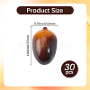 Foam Chinese Olive Display Decoration DJEW-GF0001-90B-2