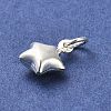 925 Sterling Silver Pendants STER-P057-06S-2