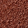 MIYUKI Delica Beads SEED-J020-DB2178-2