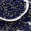 Glass Seed Beads SEED-A032-06L-1