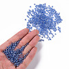 8/0 Glass Seed Beads SEED-A005-3mm-26-4