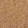 MIYUKI Round Rocailles Beads SEED-JP0010-RR0161-3