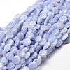 Natural Blue Lace Agate Gemstone Nuggets Bead Strands G-J336-22-1