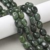 Dyed Natural Malaysia Jade Beads Strands G-P528-I16-01-5