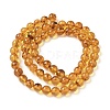 Natural Amber Beads Strands G-L095-B01-6mm-02-3