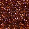 Spray Painted Glass Seed Beads SEED-F005-05A-01-3