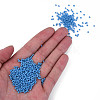 11/0 Czech Opaque Glass Seed Beads SEED-N004-003B-18-5