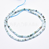 Natural Larimar Beads Strands G-K256-57A-2