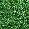 TOHO Round Seed Beads SEED-JPTR11-0167-2