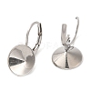Tarnish Resistant 304 Stainless Steel Leverback Earring Findings STAS-R123-15P-2