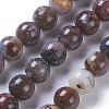 Natural Pietersite Beads Strands G-P428-06-8mm-2