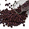 TOHO 6/0 Round Beads X-SEED-TR06-0703-1