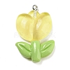 Translucent Resin Pendants RESI-G078-01E-1