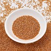 MIYUKI Delica Beads SEED-J020-DB1702-2