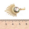 Natural Paua Shell Pendants PALLOY-JF05227-01-4