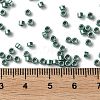 Baking Paint Glass Seed Beads X-SEED-S042-15A-15-4