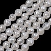 Electroplated Natural Agate Beads Strands G-B191-A07-8mm-20-2