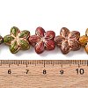 Painted Glass Beads Strands X-GLAA-B037-12B-12B-4