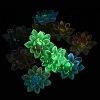 Luminous Transparent Epoxy Resin Decoden Cabochons CRES-M032-04D-2
