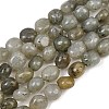 Natural Labradorite Beads Strands GG-CBA787B-A36-2