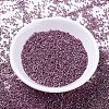 MIYUKI Delica Beads X-SEED-J020-DB1848-2