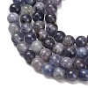 Natural Iolite Beads Strands X-G-G300-A04-6mm-4