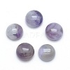 Natural Amethyst Cabochons G-P393-R14-10mm-1