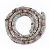 Natural Aqua Terra Jasper Beads Strands G-S366-012A-2