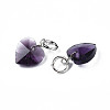 Faceted Transparent Glass Charms GLAA-T024-04A-3