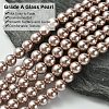Eco-Friendly Dyed Glass Pearl Round Beads Strands HY-A008-8mm-RB046-2