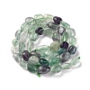 Natural Fluorite Beads Strands G-G146-A16-01-3