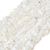 Opalite Beads Strands G-P332-11-2