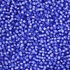 12/0 Grade A Round Glass Seed Beads SEED-N001-D-13/212-2