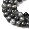 Natural Hawk's Eye Beads Strands G-L478-03-8mm-01-4