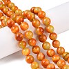 Dyed Natural White Jade Beads Strands G-T138-10mm-210-25-1