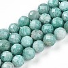Natural Amazonite Beads Strands G-S345-10mm-25-1